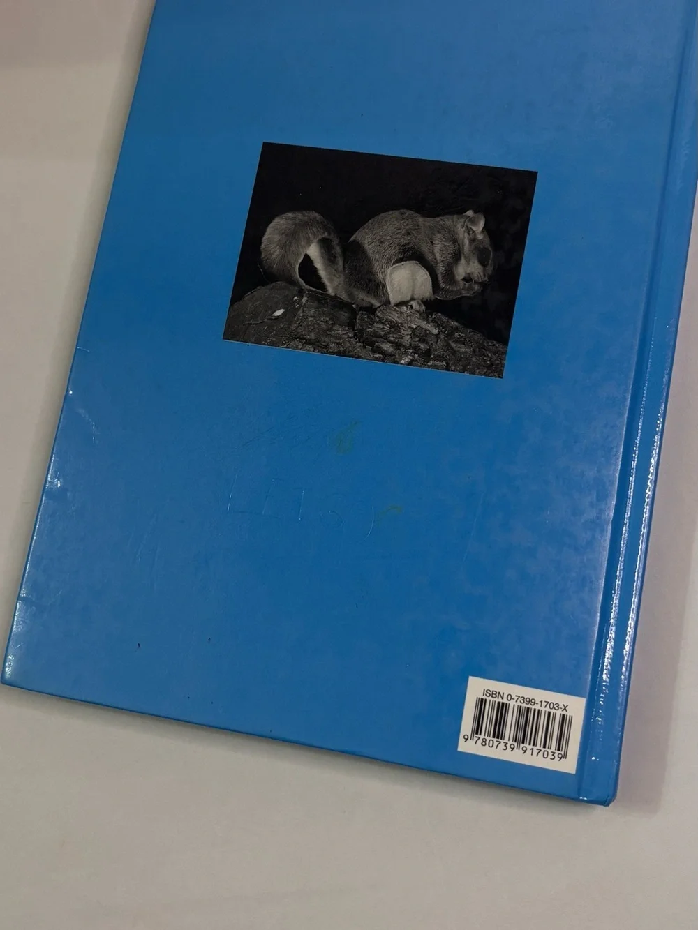 God's Marvelous Works Book Two - Blue Hardcover